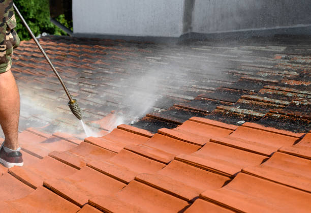 Best Pressure Washing Patio  in Maxwell, CA